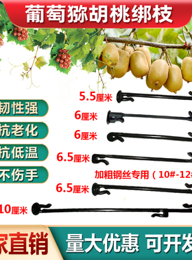 葡萄猕猴桃绑枝卡扣蓝莓葡萄树苗枝条固定卡子塑料挂钩绑蔓绑枝卡