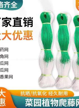 豇豆黄瓜苦瓜豆角专用网植物爬藤
