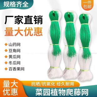 豇豆黄瓜吊瓜丝瓜苦瓜豆角白香果专用网植物爬藤种植网攀爬农用网