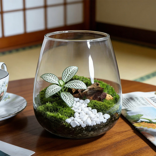 绿萝透明水生植物植物容器