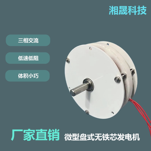 微型盘式无铁芯永磁无刷发电机迷你