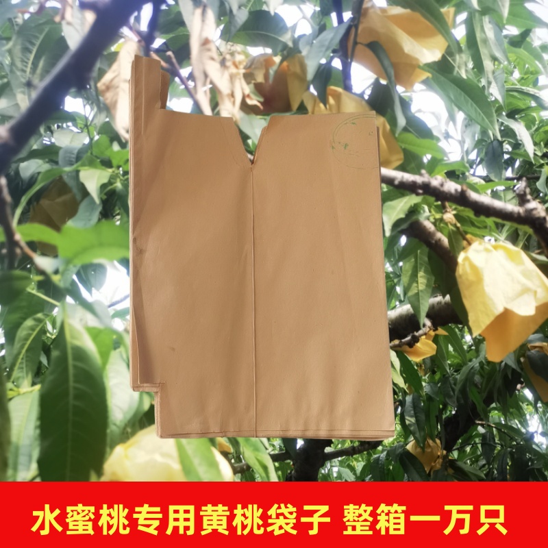 果袋套袋桃树用袋黄桃桃子梨琵琶