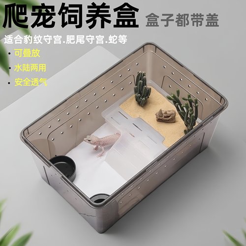 守宫饲养箱一体式爬台躲避饲养盒