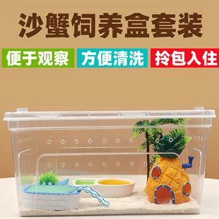 中华沙蟹饲养箱套装螃蟹相手蟹饲养缸寄居蟹新手饲养盒宠物用品