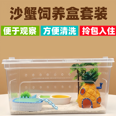 中华沙蟹饲养箱套装螃蟹相手蟹饲养缸寄居蟹新手饲养盒宠物用品
