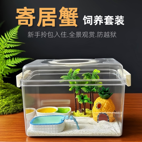 寄居蟹饲养盒仓鼠乌龟饲养缸全透明爬宠新手饲养箱桌面宠物饲养