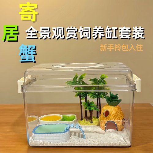 寄居蟹饲养盒套装沙蟹相手蟹饲养缸水陆缸寄居蟹饲养箱蟹全套用品