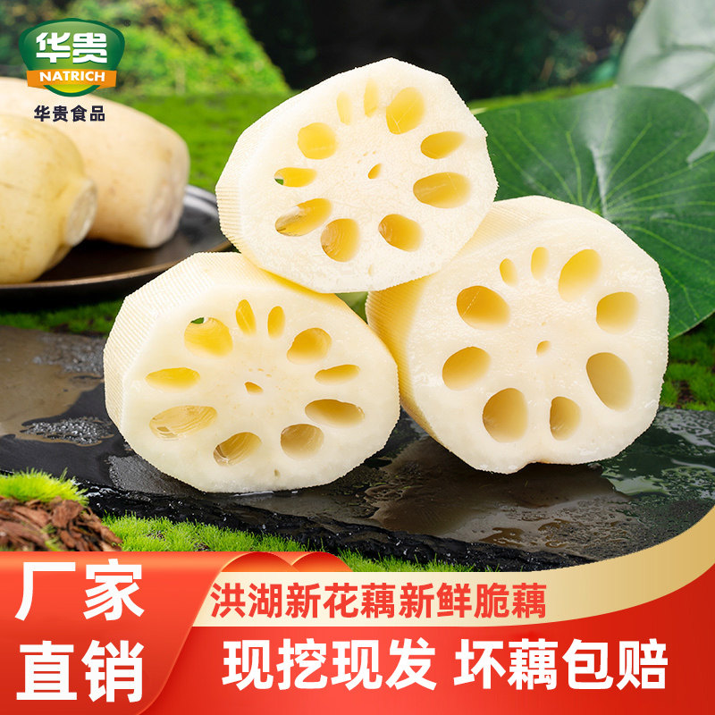莲藕新鲜洪湖脆藕湖北清水莲藕水果藕新花藕菜藕当季蔬菜现挖现发