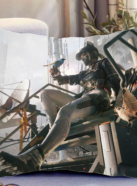 露娜三角洲行动周边双面抱枕照片带枕芯靠枕靠垫枕头套礼物可定制