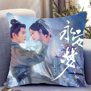 永安梦陆时砚沈甄周边徐正溪欧阳娜娜双面抱枕带枕芯靠枕靠垫枕头