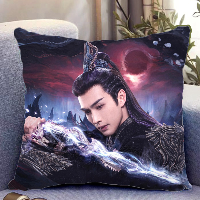 张彬彬周边双面抱枕谢雪臣照片