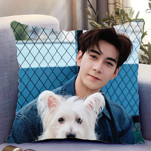 陈星旭周边双面抱枕照片同款靠枕靠垫带枕芯睡觉枕头套礼物可定制