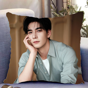 陈星旭周边双面抱枕人物照片同款靠枕靠垫带枕芯枕头套礼物可定制