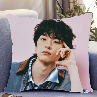 林一周边双面抱枕嘘，国王在冬眠带枕芯靠枕靠垫枕头套礼物可定制