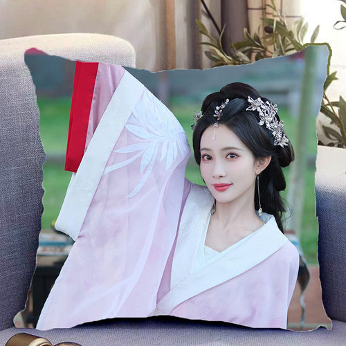 孟子义周边双面抱枕百花杀沈汐和