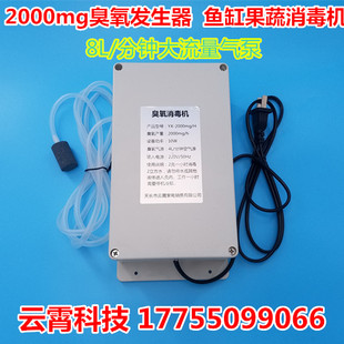 洗菜内衣消毒机果蔬解毒机鱼缸专用 8升 2000mg臭氧发生器 220v