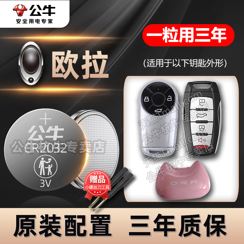 长城欧拉汽车钥匙专用电池