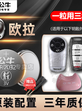 适用长城欧拉IQ白猫 黑猫R1 GT好猫IQ芭蕾猫 闪电猫汽车钥匙电池CR2032智能遥控器纽扣电子21 2022 23 24年款