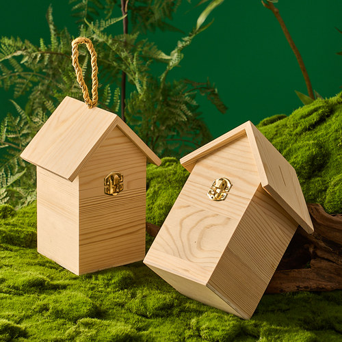 小屋儿童零钱盒存钱罐可涂鸦带锁可存取储钱罐玩具节日礼物摆件