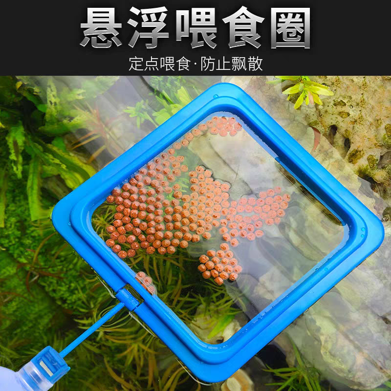 悬浮喂食圈观赏鱼投食圈