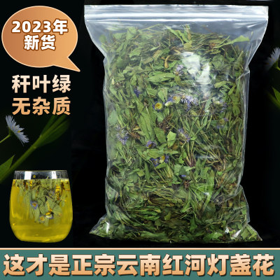 灯盏花云南红河今年新货