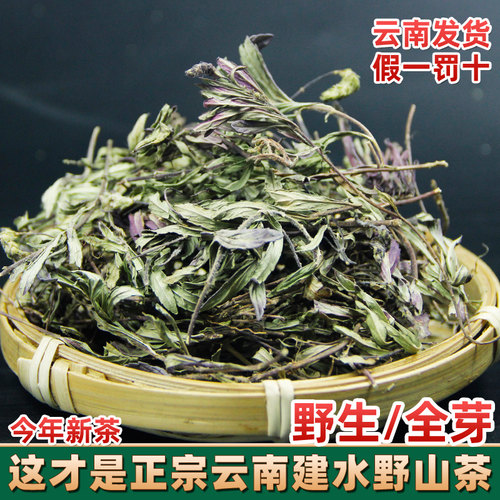 云南建水野生小山茶 红河凉茶 野山茶 东紫苏 凤尾草松毛茶梭罗茶