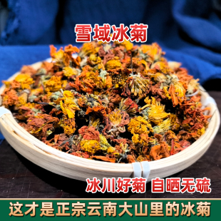 雪域冰菊 西域冰菊 高原冰菊 高山高海拔 天山冰菊 昆仑雪菊