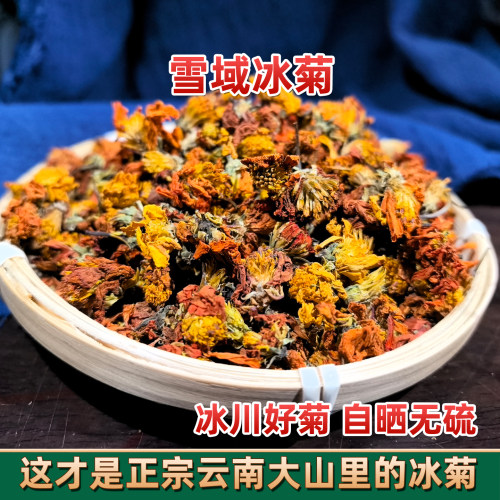 雪域冰菊 西域冰菊 高原冰菊 高山高海拔 天山冰菊 昆仑雪菊