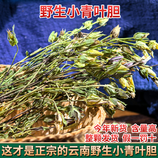 云南野生小青叶胆500g 中草药材青叶丹走胆药草 小青鱼胆 七疸药