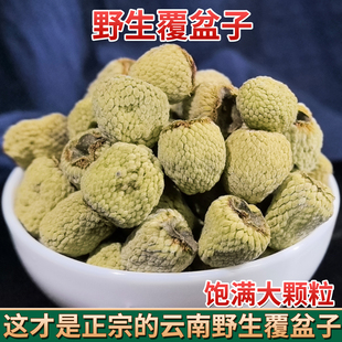 云南野生覆盆子中药材正品覆盆子泡茶复盆子覆盘子果干新货无硫