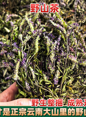 云南野生野山茶小山茶东紫苏建水梭罗茶整捆带花红河饭店烧烤凉茶