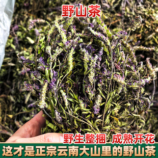 云南野生野山茶小山茶东紫苏建水梭罗茶整捆带花红河饭店烧烤凉茶