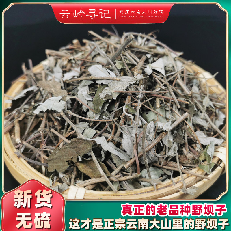 野坝子茶云南野生花草茶中药材餐馆待客特色茶带杆带叶野坝蒿