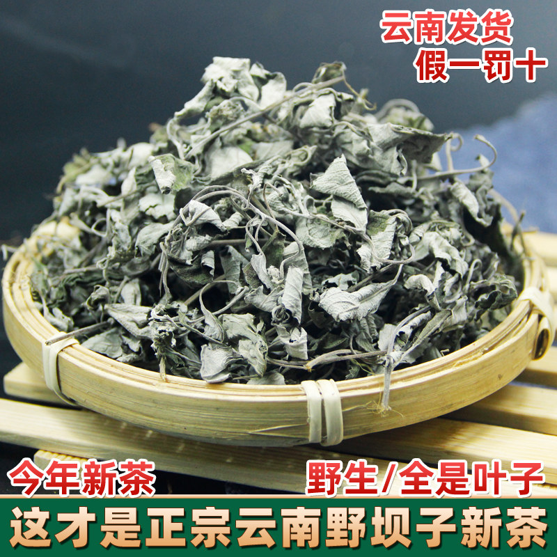 云南野坝子茶 高山野生花草茶餐馆烧烤特色茶  野坝蒿餐用茶绿茶