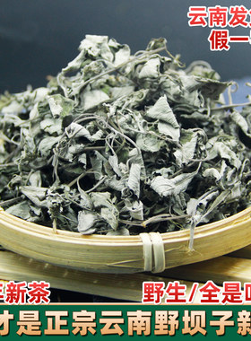 云南野坝子茶 高山野生花草茶餐馆烧烤特色茶  野坝蒿餐用茶绿茶