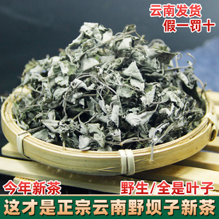 云南野坝子茶 高山野生花草茶餐馆烧烤特色茶  野坝蒿餐用茶绿茶