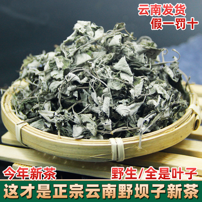 云南野坝子茶 高山野生花草茶餐馆烧烤特色茶  野坝蒿餐用茶绿茶