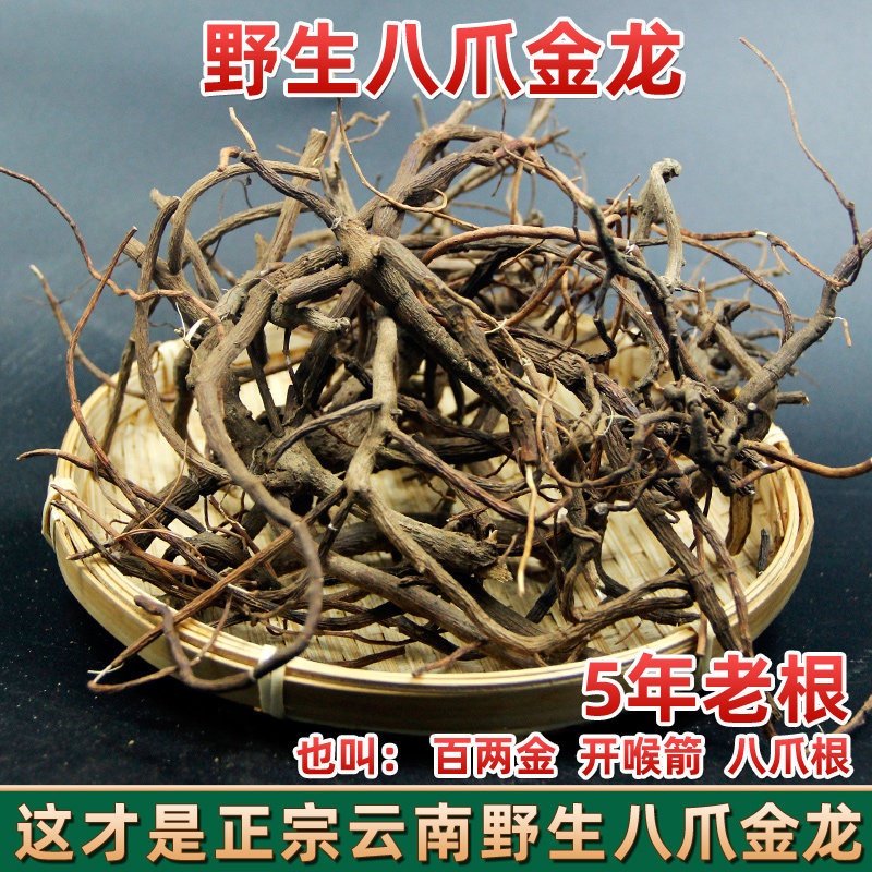 云南野生八爪金龙根 干品开喉剑中药材百两金无硫朱砂根非贵州