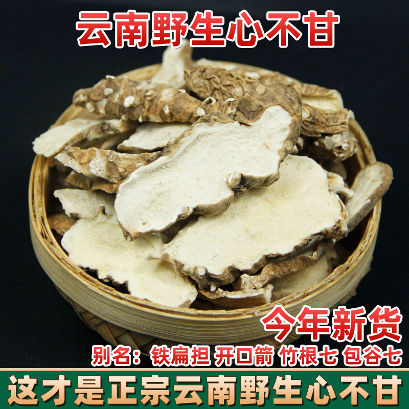 野生虎乳菌老虎奶乳菌片