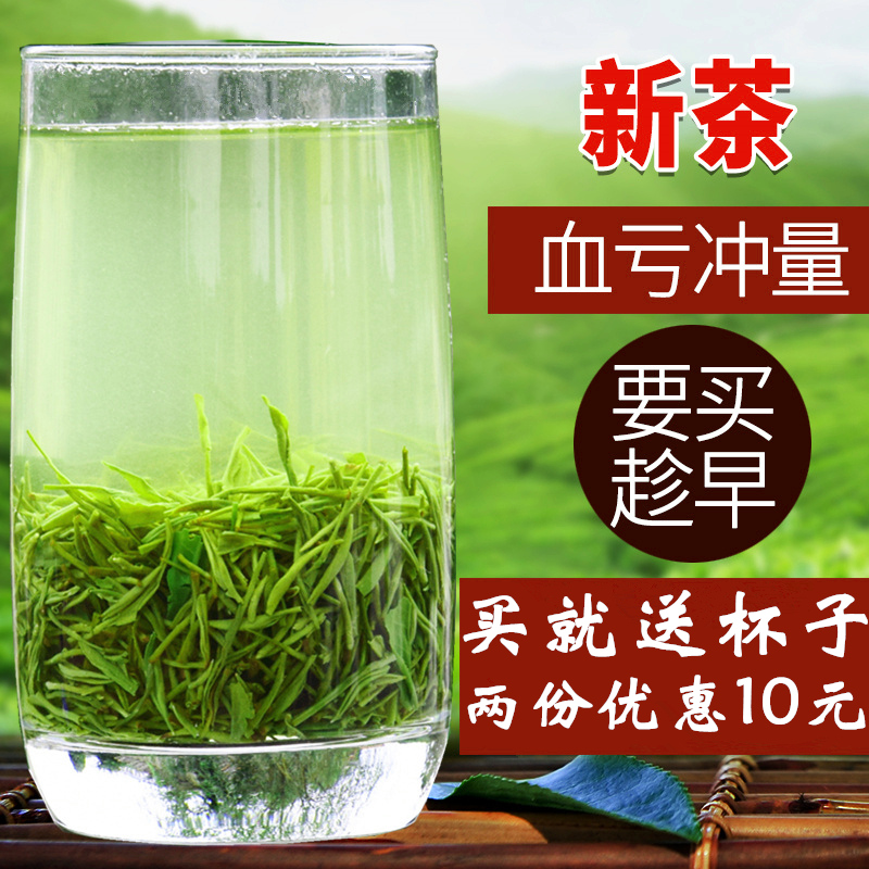 信阳毛尖2024新茶叶绿茶雨前一级嫩芽春茶散装250g茶农自销礼盒装