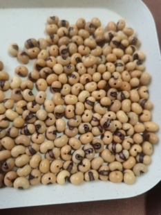 金佛草散籽老籽