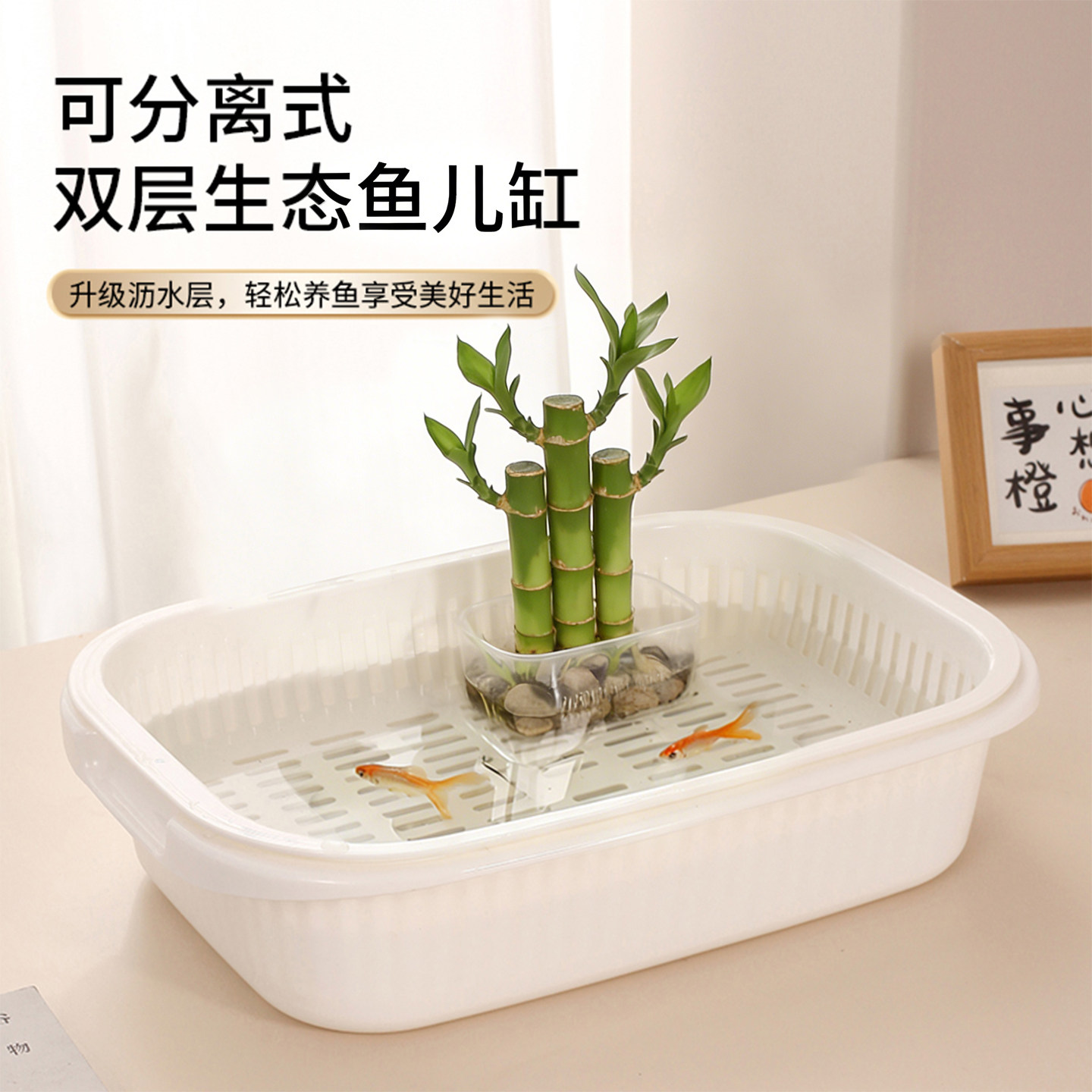 双层底滤龟便分离桌面鱼龟缸图片