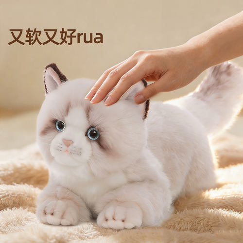 科迈特布偶猫毛绒玩具