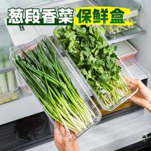 香菜大葱小葱保鲜盒冰箱收纳盒芫荽整根食品级带盖保鲜神器密封盒