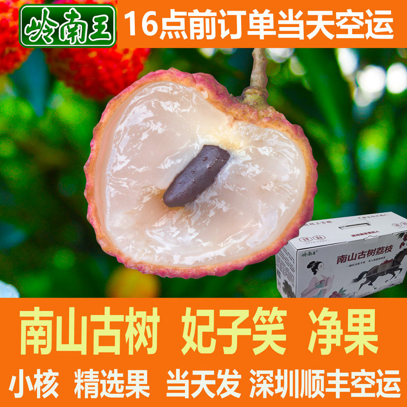 南山古树妃子笑荔枝5斤10斤新鲜现摘顺丰空运水果大王南山礼盒