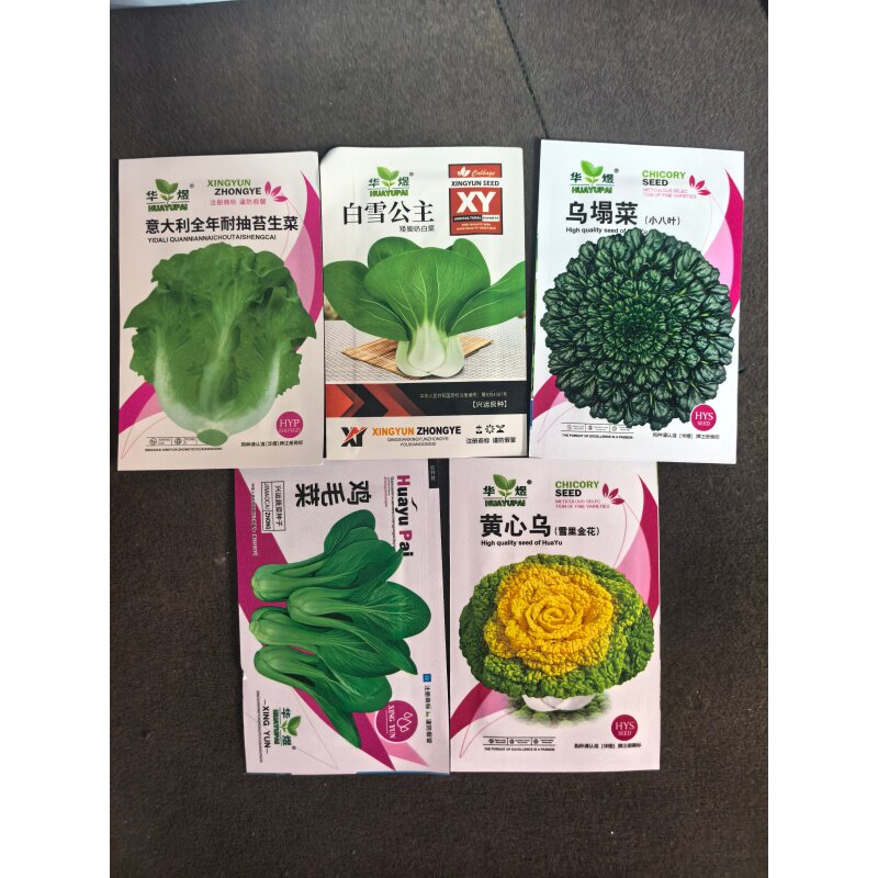 蔬菜种子四季黄心乌油麦菜四季小葱乌塌菜奶白菜耐寒快速采收生菜
