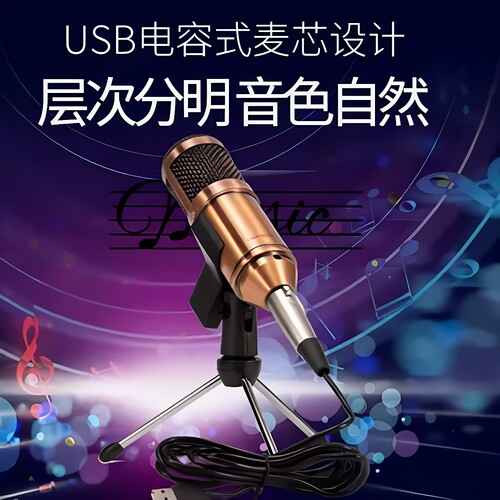 BM800USB专业录音麦克风直播专用折叠式外接供电录音设备