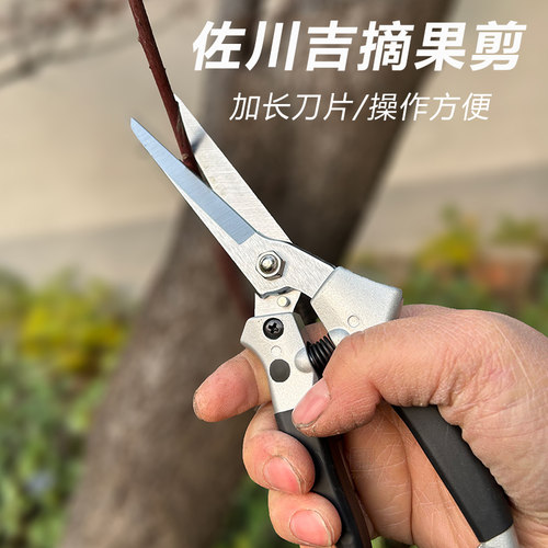 佐川吉加长刀片摘果剪