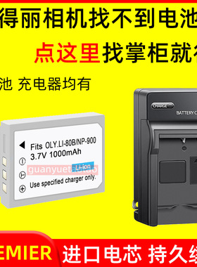 适用拍得丽SL4 SL5/6 SL43/53 SL55/63 ES6 DP5200相机电池充电器