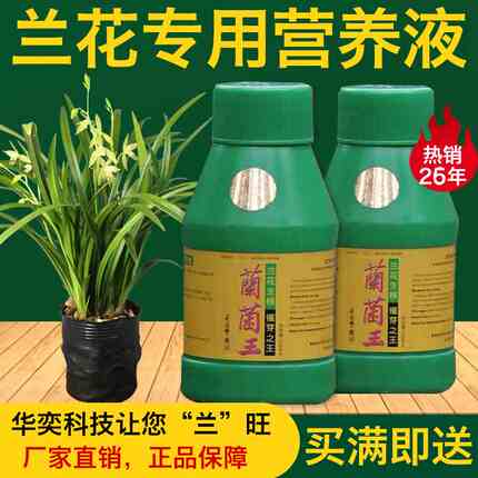 兰菌王兰花专用营养液兰科兰草肥料专用长效肥喷雾君子兰催根生芽
